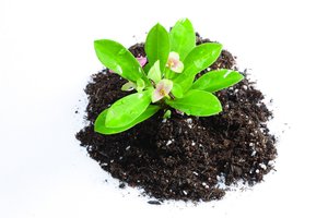 人工智能在医疗领域的应用现状与未来展望
